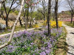 -雪山彩虹谷景区