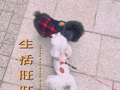 -Seesaw Coffee(上生新所店)