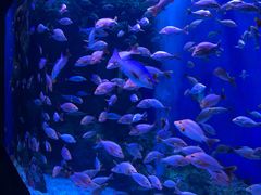 -成都浩海立方海洋公园