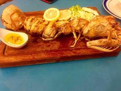 -茉莉.Red Crab