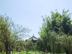 -庾园