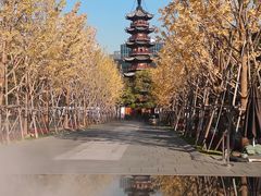 -龙华寺