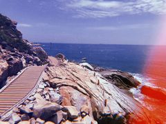 -广东惠东海龟国家级自然保护区