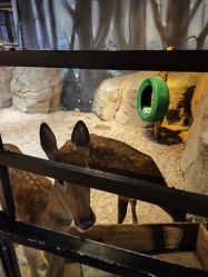 点击看大图 -酷嗒动物文化乐园(cutezoo西溪乐天城店)