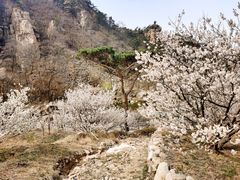 -崂山九水游览区