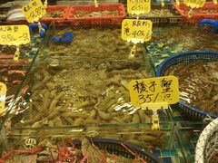 -厦门轮渡码头