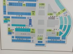 -深圳大学总医院