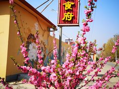 -鸿运美食府