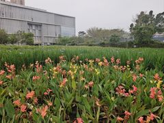 -人民公园(罗湖区)