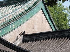 -恭王府博物馆