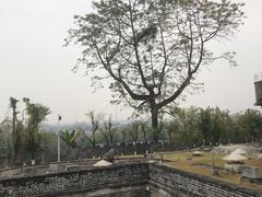 -长洲岛