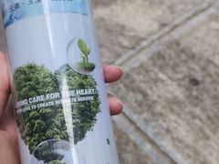 -苍山感通索道