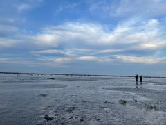 -奉贤海滩