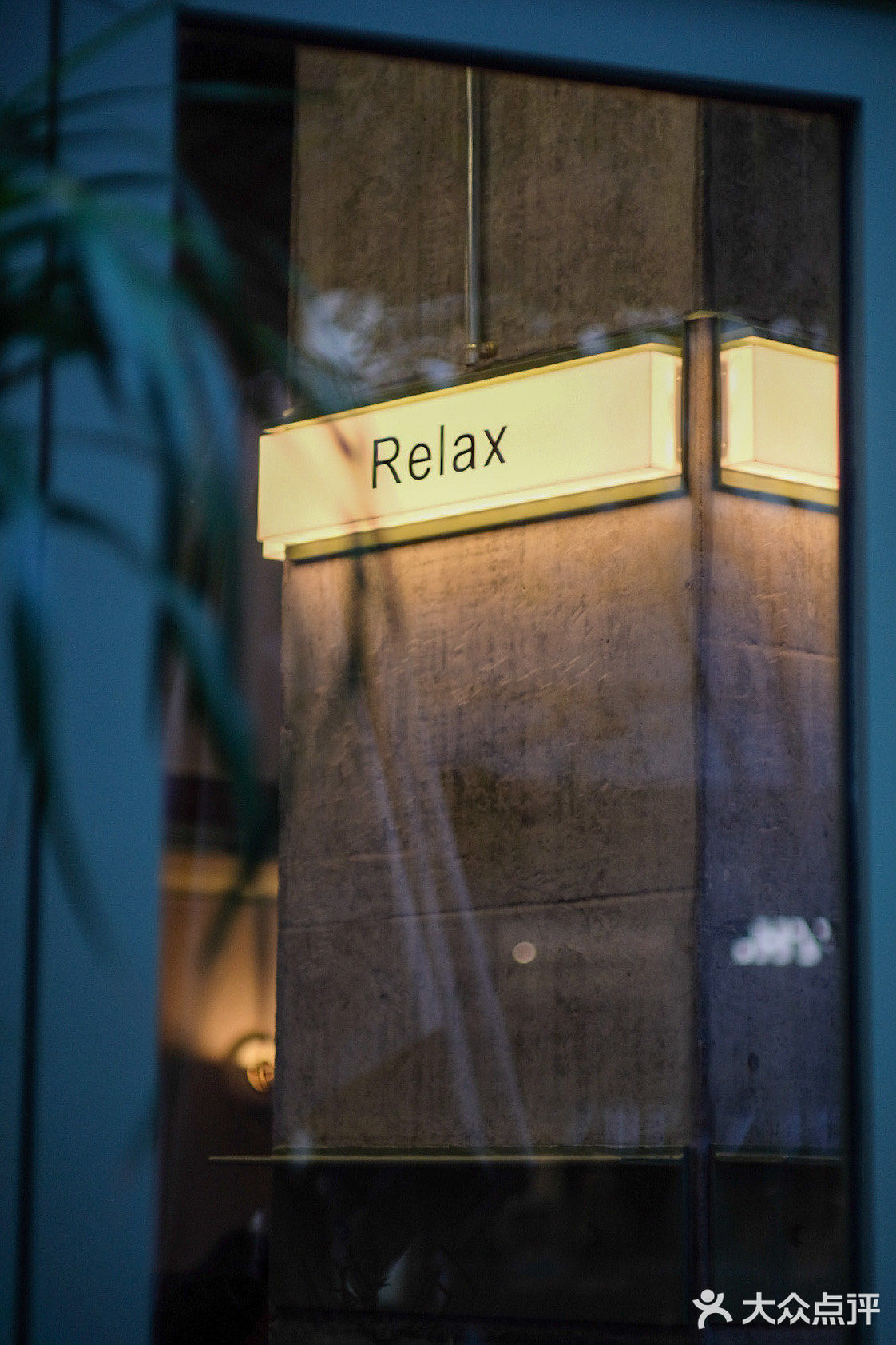 KUDDO 新店 🌵🌵