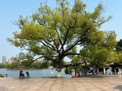 -麦当劳(长沙东风路店)