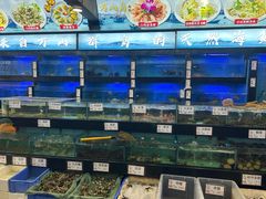 -万山楼海鲜酒家·二十三年老字号
