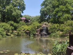 -紫霞湖公园