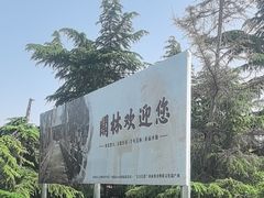 -关林