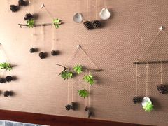 -菌之家·专业纯野生菌火锅·特色炒菌