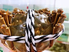 -七的湖·晚芳亭·阳澄湖农家菜·大闸蟹(莲花岛店)
