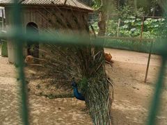 -前小桔亲子创意农场·草莓采摘·露营烧烤