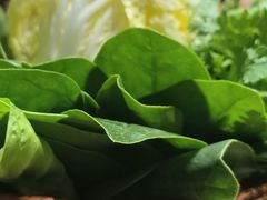 -东来顺(非遗·清真火锅·盛世广场店)