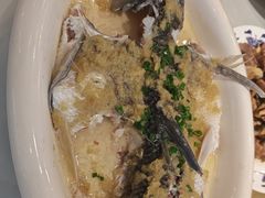 姜茸鸡油蒸泉水鲩-勝記酒家·37年老字号·经典粤菜(荔枝公园店)