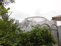 -春树下·院子露台西餐厅(中隐于市店)