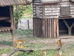 -上海野生动物园