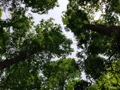 -南京金牛湖风景区