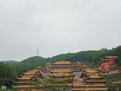 -东莞市大岭山森林公园