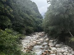 -青峰峡国家森林公园