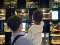 -太平洋海底世界