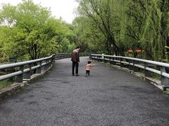 -西湖风景区-江洋畈生态公园