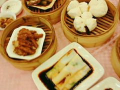 -满福隆酒楼(万绿园店)