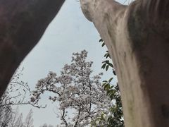 -音乐台
