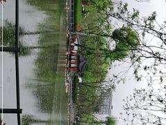 -莲湖公园