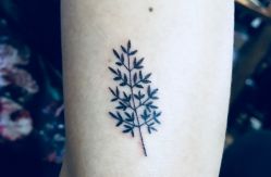 -上海刺客纹身