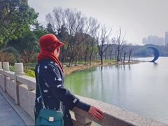 -昆山城市生态森林公园