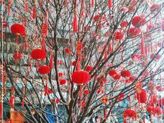 -凤凰楼酒家·粤宴点心(华强北店)