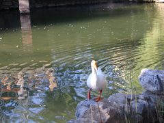 -天毓山庄·餐厅