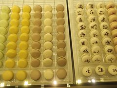 -BLACKSWAN黑天鹅(环球店)