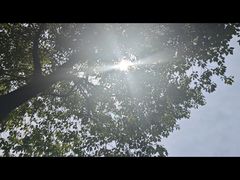 -白鹭湾湿地公园