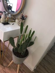 点击看大图 -Hi Beauty Skin 科技美肤中心