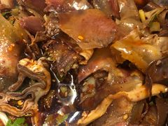 -黄伞肺片(双楠分店)