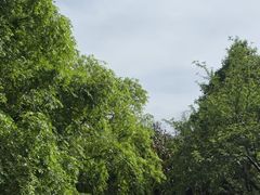 -报恩寺(平武县)