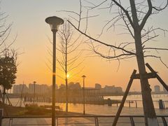 -九龙湖公园