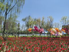 -迎泽公园
