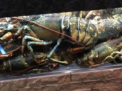 -鱼乐轩海鲜专门店