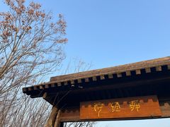-诗经里